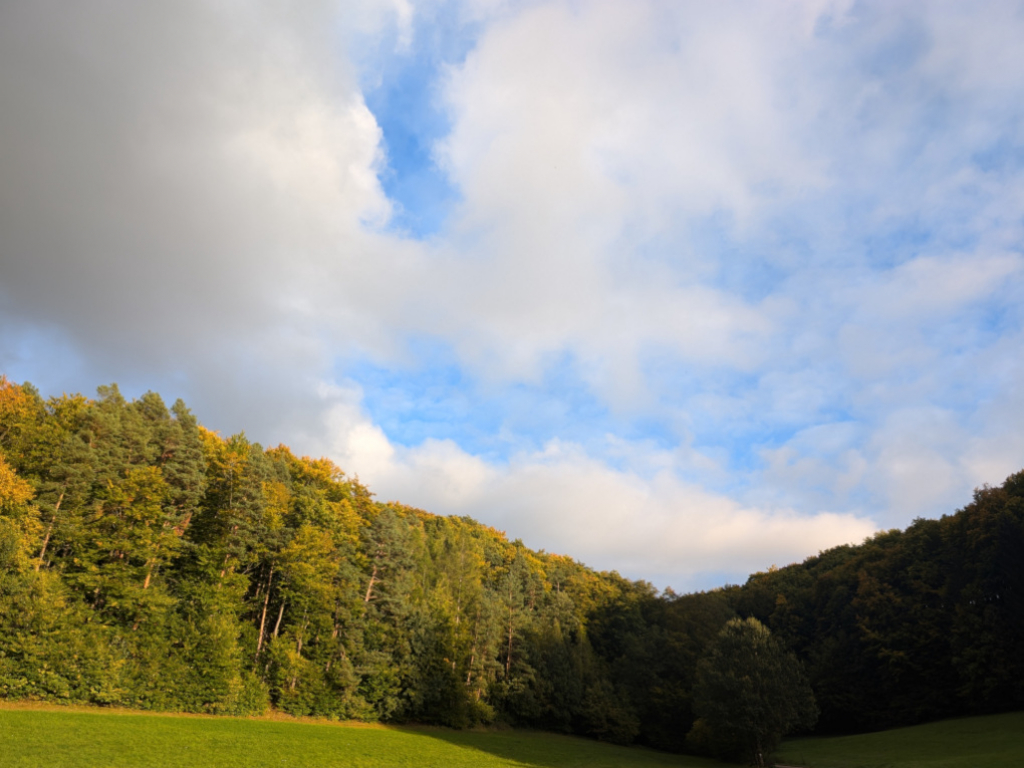 Yoga Vertiefungswoche 2024 - Pause